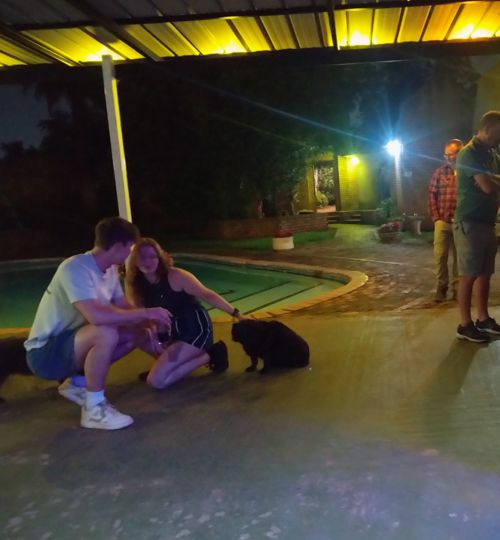 johannesburg rangers airport lodge